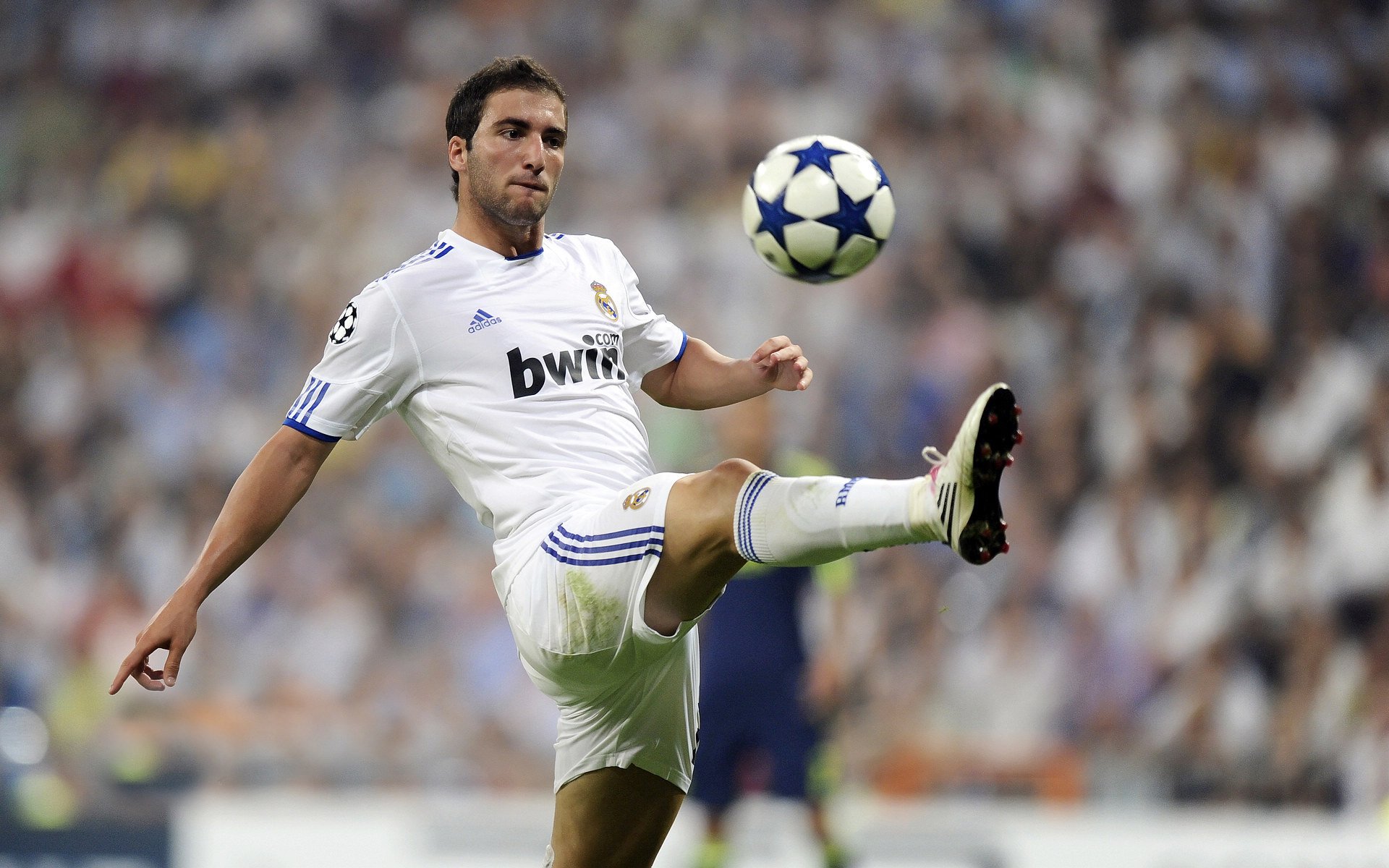 广东队战术执行力强老中青搭配合理，广东队老队员